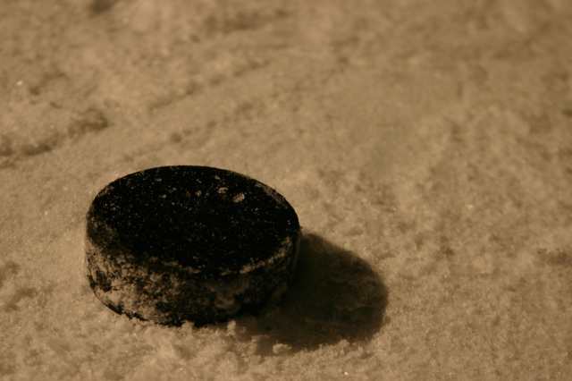 hockey puck