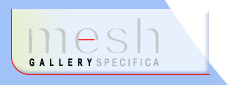 Mesh gallery